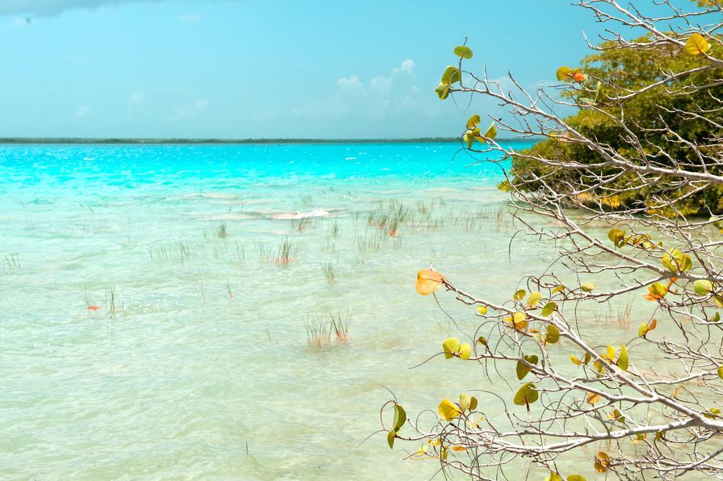 Hotel Rancho Encantado Bacalar Bagian luar foto